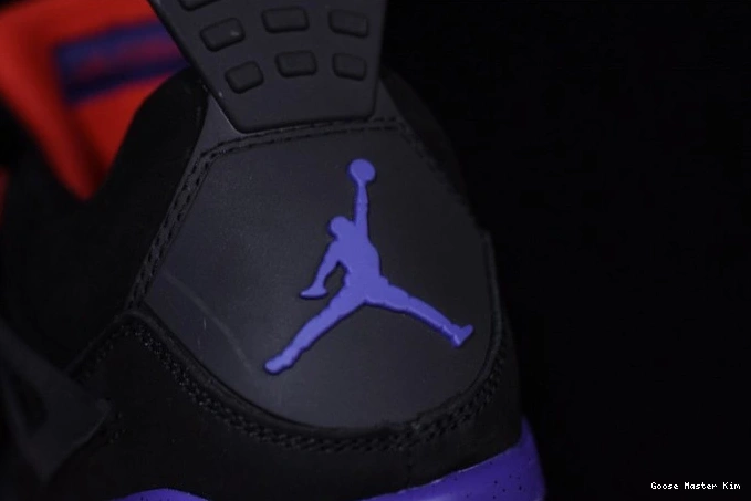 Retro Raptors